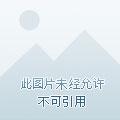 电影绝世佳人