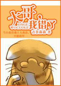 大哥我错了话本