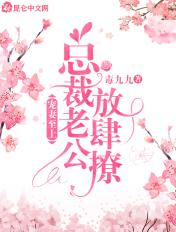 陆先生的第一婚宠